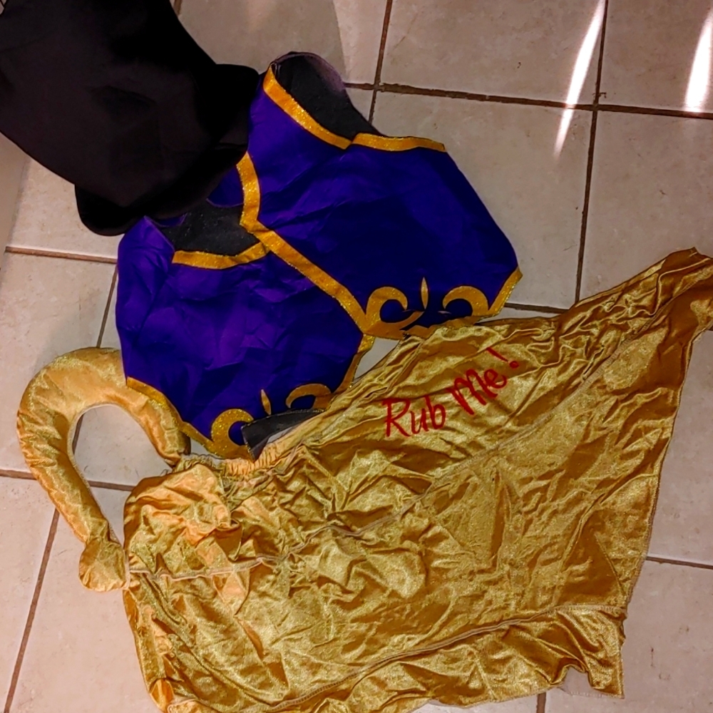 Halloween costume Genie make wishes to everyone be the most clever character